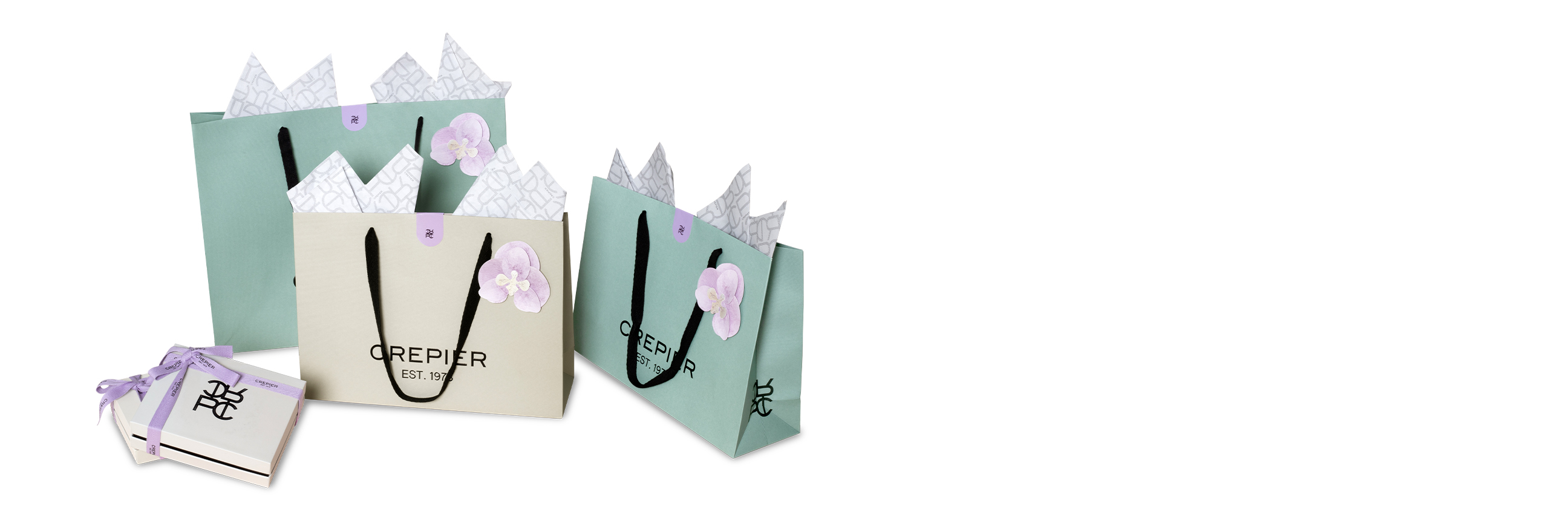 Banner Packing Corporativo